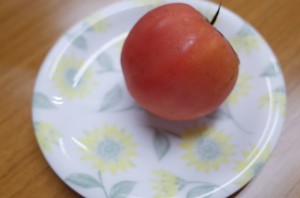 今回の題材であるトマト