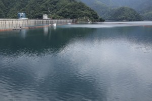 IMG_0799