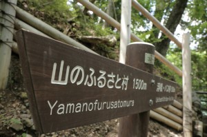 ハイキングコース②