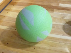 IMG_1001[1]