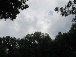 IMG_1020[1]
