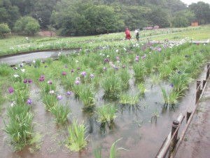 IMG_1022[1]
