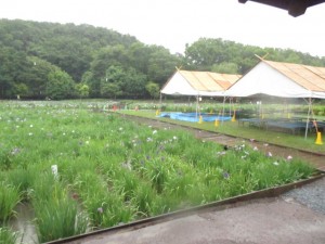 IMG_1026[1]