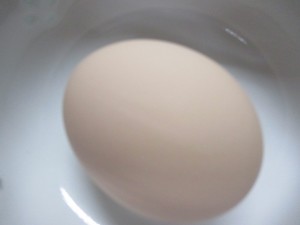写真の作品です