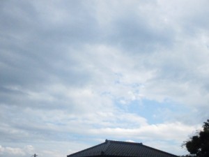 IMG_1126[1]