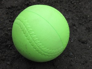 IMG_1162[1]