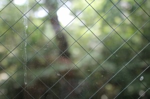 IMG_8622