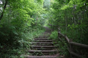 六道山まで続く階段