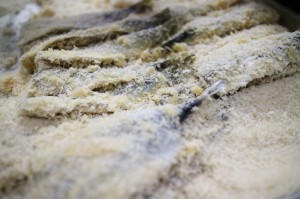 IMG_8782
