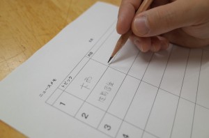 GR291076