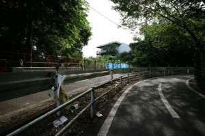 少し歩くとサイクリングロードへ。日陰が多くこの時期でも歩きやすいです。