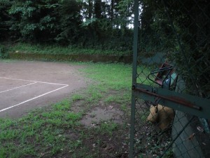 IMG_1262[1]