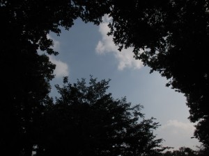 IMG_1263[1]