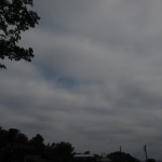 IMG_1301[1]