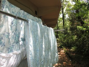 IMG_1308[1]