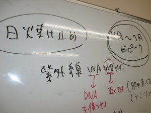 IMG_1311[1]