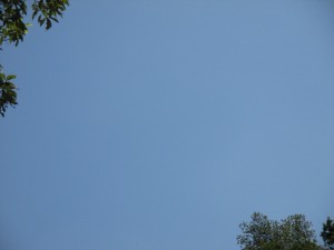 IMG_1330[1]