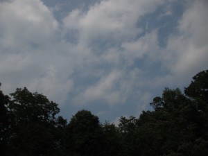 IMG_1351[1]