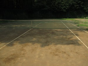 IMG_1353[1]