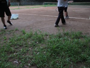 IMG_1366[1]