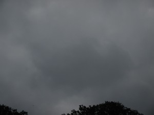 IMG_1367[1]