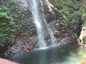 IMG_1381[1]