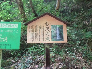 IMG_1384[1]