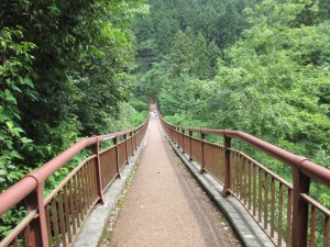 IMG_1397[1]