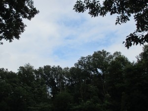 IMG_1458[1]