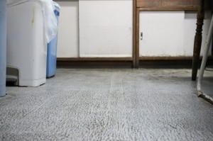 厨房は床を中心に掃除を行いました