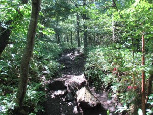 IMG_1511[1]