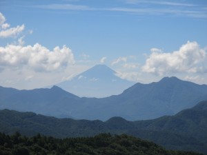 IMG_1517[1]