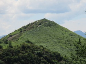 IMG_1522[1]