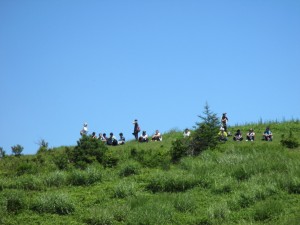 IMG_1562[1]