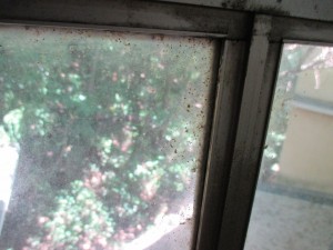 IMG_4226[1]