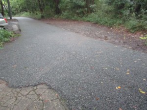 IMG_4317[1]
