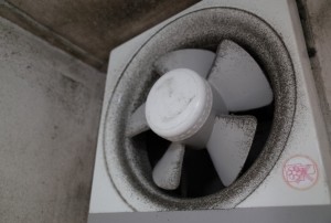 埃のたまった換気扇も→