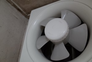 こんなにきれいになりました
