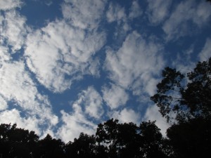 IMG_4356