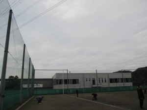 IMG_4479