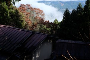 KAMI0035
