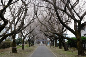 KAMI1941