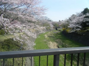 DSCF5974
