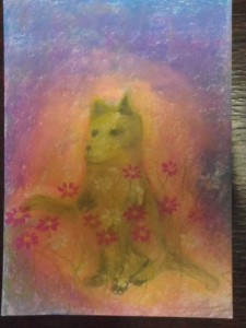 昔たまこヒルズで飼っていたタマコ