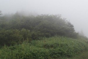 P7300852