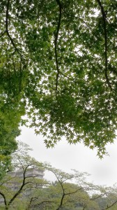 20170922_145247