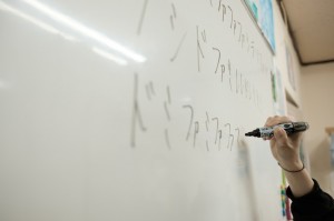 KAMI8698