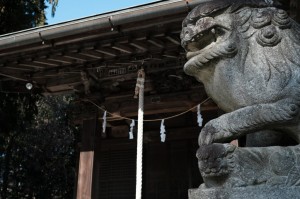 KAMI0684