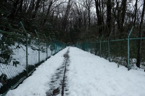 雪かき前