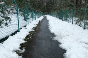 雪かき後